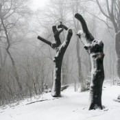 2009_04_DOBOGOKO_1