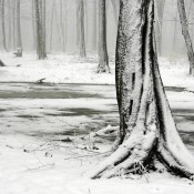 2009_04_DOBOGOKO_5