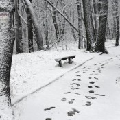 2009_04_DOBOGOKO_6