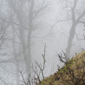 2009_04_DOBOGOKO_7