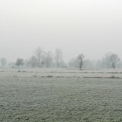swit4